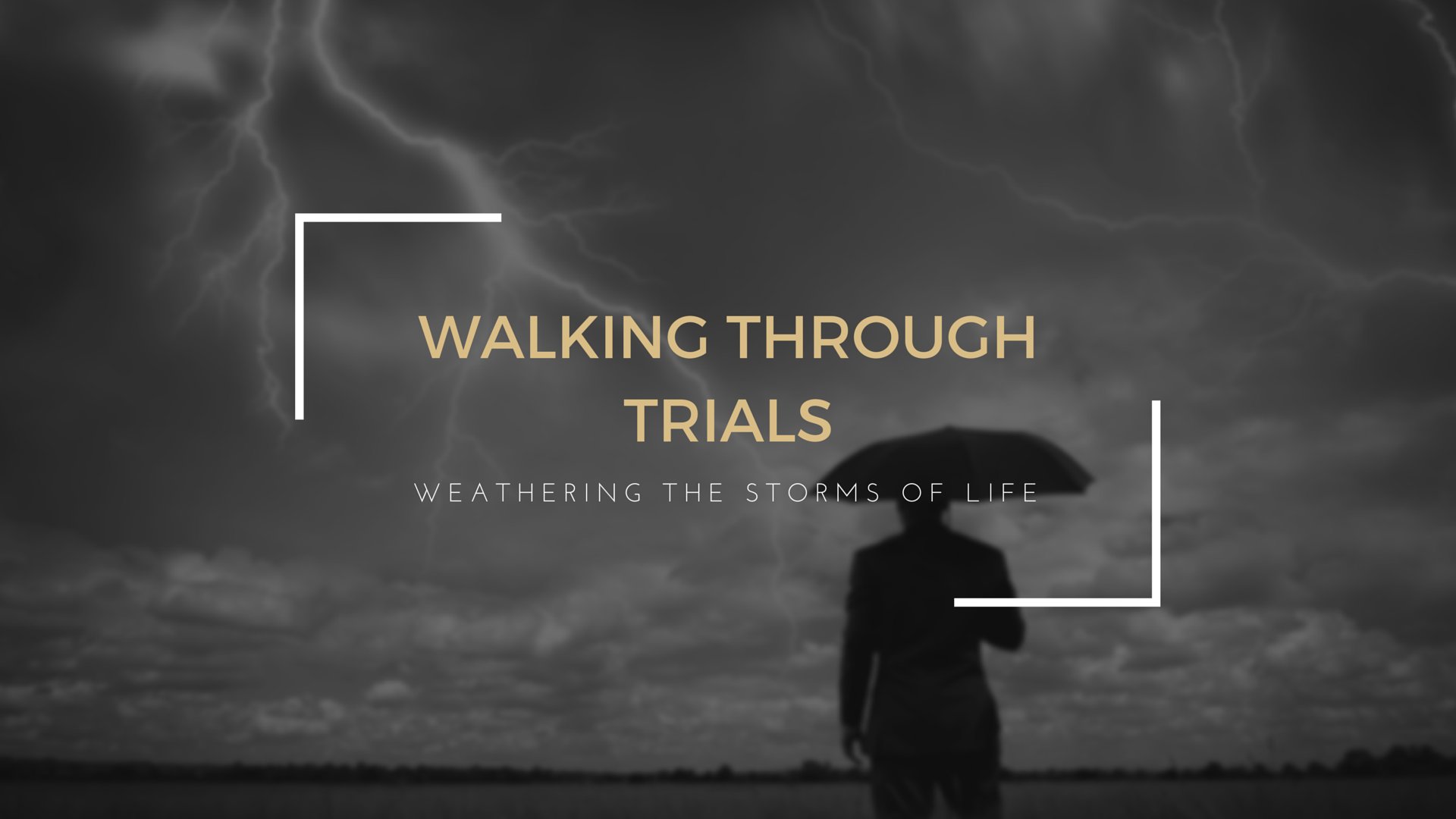 Weathering the Storms of Life Title Image